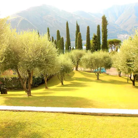 The Olive Grove Βίλα